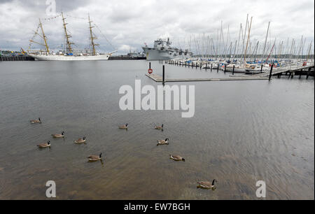 Kiel, Germania. 19 giugno 2015. Le oche selvatiche sono visti presso il porto di Kiel, Germania, 19 giugno 2015. Elicottero britannico vettore " Ocean' e la nave di formazione "Gorch Fock" moor in background. Cinquanta navi della marina militare da 10 nazioni sono tenuti a prendere parte all'annuale settimana di Kiel vela evento dal 20 al 28 giugno. Foto: CARSTEN REHDER/dpa/Alamy Live News Foto Stock