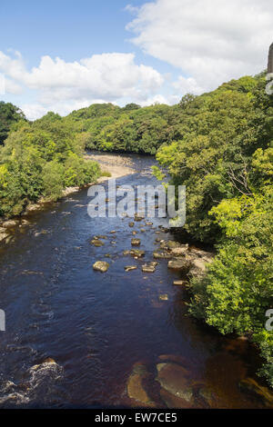 Il Fiume Tees e adiacente chioma in piena estate verde che scorre attraverso la città di Barnard Castle, nella contea di Durham. Foto Stock