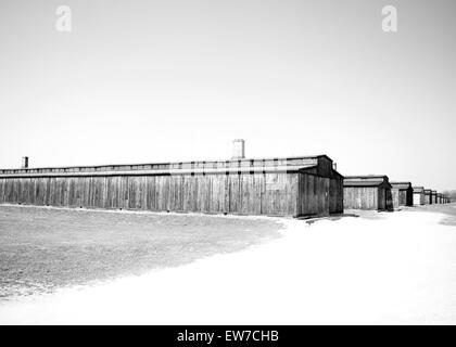 Auschwitz Birkenhau atrocità Foto Stock