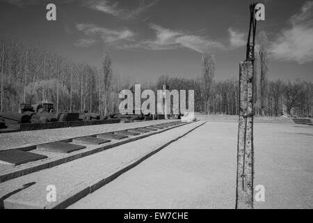 Auschwitz Birkenhau atrocità Foto Stock