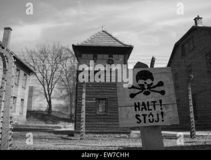 Auschwitz Birkenhau atrocità Foto Stock