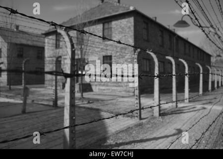 Auschwitz Birkenhau atrocità Foto Stock