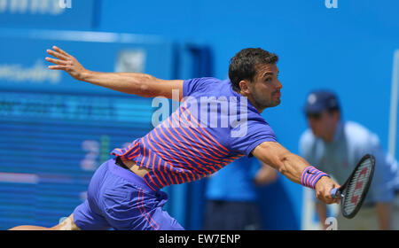 Londra, Regno Unito. Il 18 giugno, 2015. Queens Aegon campionato di tennis. Grigor Dimitrov (BUL) tratti per la palla. © Azione Sport Plus/Alamy Live News Foto Stock