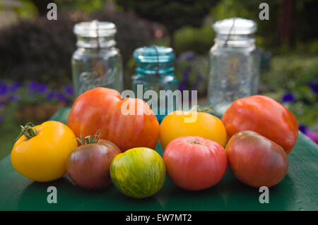 Cimelio di famiglia di pomodori e Vintage Barattoli Foto Stock