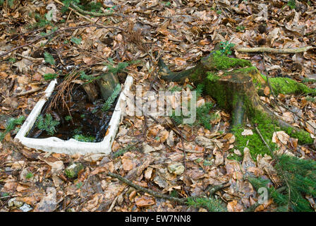 Un dissipatore di Belfast scartato nel bosco Foto Stock