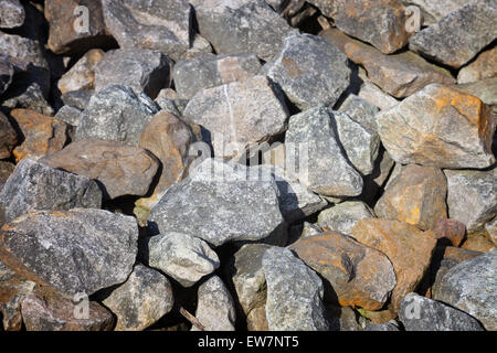 Close up ciottoli texture di sfondo. Foto Stock