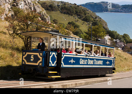 Nel Regno Unito, in Galles, Conwy, Llandudno, Ty Gwyn Road, Great Orme tram tram, salendo la collina ripida Foto Stock