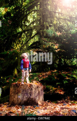 Ragazzo in piedi su un tronco di albero nei boschi guardando il cielo Foto Stock