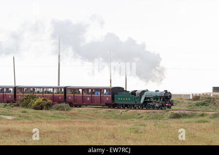 Piccolo treno a vapore sul Romney, Hythe e Dymchurch Railway, Kent, Inghilterra Foto Stock