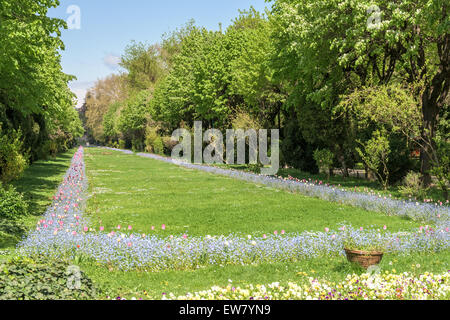 Il giardini Cismigiu (Parcul Cismigiu) è uno dei più grandi e più belli parchi pubblici nel centro di Bucarest costruita nel 1847 Foto Stock