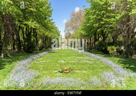 Il giardini Cismigiu (Parcul Cismigiu) è uno dei più grandi e più belli parchi pubblici nel centro di Bucarest costruita nel 1847 Foto Stock