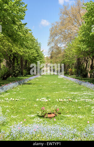 Il giardini Cismigiu (Parcul Cismigiu) è uno dei più grandi e più belli parchi pubblici nel centro di Bucarest costruita nel 1847 Foto Stock