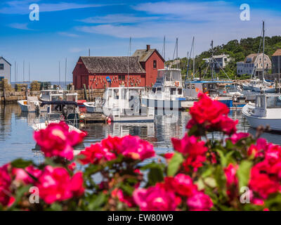 La Nuova Inghilterra villaggio di pescatori. Motif #1, Fisherman's shack nel porto di Rockport, Massachusetts, STATI UNITI D'AMERICA Foto Stock