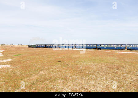 Piccolo treno a vapore sul Romney, Hythe e Dymchurch Railway, Kent, Inghilterra Foto Stock