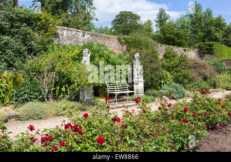 Red Rose floribunda 'Frensham' in un confine in Mrs Greville's Garden, Polesden Lacey, grande Bookham, Surrey, Regno Unito Foto Stock