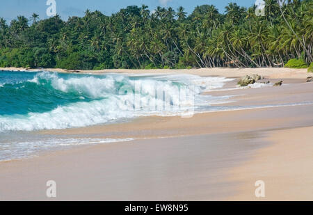 Onda Verde con il bianco seafoam closeup sulla sabbiosa spiaggia paradiso, Sri Lanka, in Asia. Foto Stock