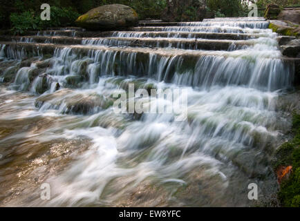 La cascata nel motivi di Newstead Abbey, Nottinghamshire England Regno Unito Foto Stock