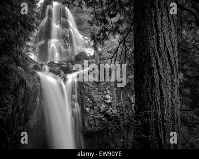 Falls Creek Falls, Washington. Foto Stock