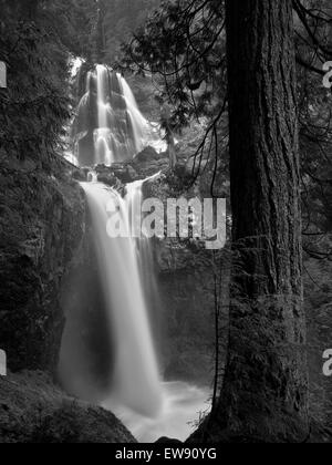 Falls Creek Falls, Washington. Foto Stock