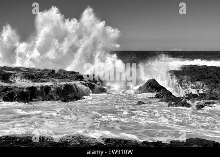 Onda di rottura. Hawaii, la Big Island. Foto Stock