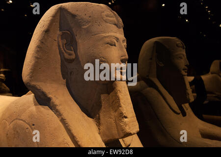 Dettaglio di un egiziano Sphinx - periodo ramesside Foto Stock