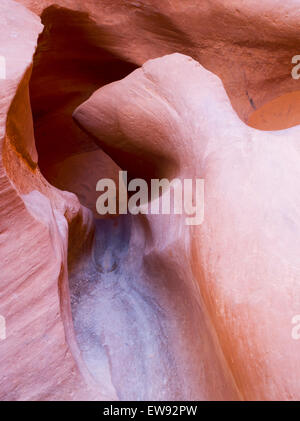 Dettaglio delle incisioni di peek-a-boo Canyon Slot, Grand Staircase-Escalante Monumento Nazionale, vicino a Escalante, Utah. Foto Stock