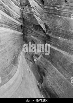 Vista di fianco della Zebra Slot Canyon, lungo Harris Wash, Grand Staircase-Escalante Monumento Nazionale, vicino a Escalante, Utah. Foto Stock