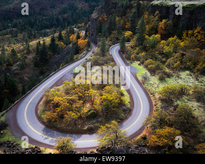 Strada di curvatura (Columbia River Gorge storica strada) con i colori dell'autunno. Columbia River Gorge National Scenic Area, Oregon Foto Stock