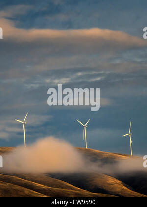 Mulini a vento vicino alla Columbia River Gorge, Oregon Foto Stock
