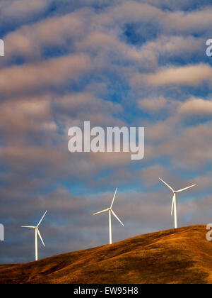 Mulini a vento vicino alla Columbia River Gorge, Oregon Foto Stock