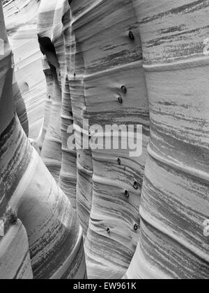 Vista di fianco della Zebra Slot Canyon, lungo Harris Wash, Grand Staircase-Escalante Monumento Nazionale, vicino a Escalante, Utah. Foto Stock