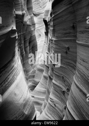 Vista di fianco della Zebra Slot Canyon, lungo Harris Wash, Grand Staircase-Escalante Monumento Nazionale, vicino a Escalante, Utah. Foto Stock