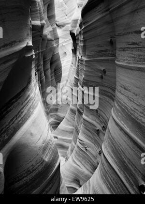 Vista di fianco della Zebra Slot Canyon, lungo Harris Wash, Grand Staircase-Escalante Monumento Nazionale, vicino a Escalante, Utah. Foto Stock