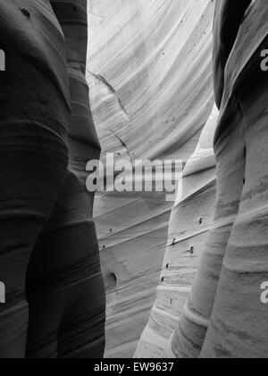 Vista di fianco della Zebra Slot Canyon, lungo Harris Wash, Grand Staircase-Escalante Monumento Nazionale, vicino a Escalante, Utah. Foto Stock