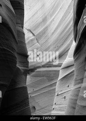 Vista di fianco della Zebra Slot Canyon, lungo Harris Wash, Grand Staircase-Escalante Monumento Nazionale, vicino a Escalante, Utah. Foto Stock
