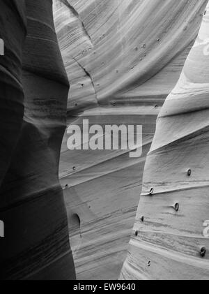 Vista di fianco della Zebra Slot Canyon, lungo Harris Wash, Grand Staircase-Escalante Monumento Nazionale, vicino a Escalante, Utah. Foto Stock