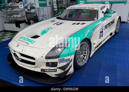 La Mercedes-Benz SLS AMG-GT3 gareggia nella gara di resistenza Super Taikyu Suzuka 300 km del 2011. Foto Stock