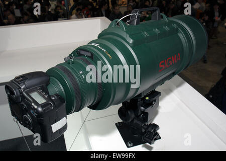 Sigma 200-500mm F2.8 ex DG APO è un potente teleobiettivo con zoom progettato per i fotografi professionisti. Noto per le sue elevate prestazioni ottiche, offre nitidezza e chiarezza eccellenti, il che lo rende ideale per la fotografia naturalistica e sportiva, nonché per altre esigenze di imaging a lungo raggio. Foto Stock