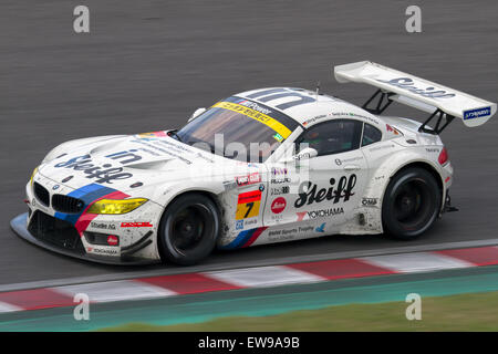 Augusto Farfus 2014 Super GT gara di Suzuka Foto Stock