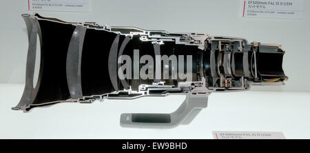 Questa immagine fornisce una vista in sezione dell'obiettivo USM Canon EF 600mm f/4L IS II, che mostra il suo design interno e la sua meccanica. L'obiettivo è un teleobiettivo ad alte prestazioni, noto per la sua nitidezza e idoneità per la fotografia sportiva e naturalistica. Foto Stock