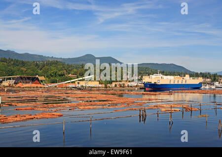 Western prodotti forestali segheria di cedro, Chemainus, Isola di Vancouver, British Columbia Foto Stock