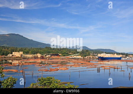 Western prodotti forestali segheria di cedro, Chemainus, Isola di Vancouver, British Columbia Foto Stock