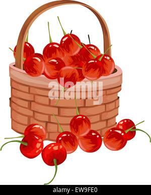 Illustrazione Vettoriale di ciliegie fresche nel cesto di vimini. Illustrazione Vettoriale