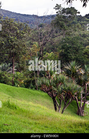 Inhotim, arte contemporanea, giardini botanici, Brumhadinho, Minas Gerais, Brasile Foto Stock