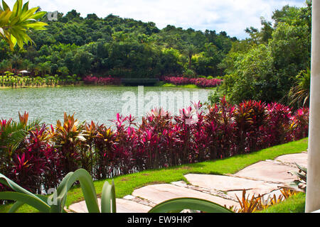 Inhotim, arte contemporanea, giardini botanici, Brumhadinho, Minas Gerais, Brasile, vista su un laghetto Foto Stock