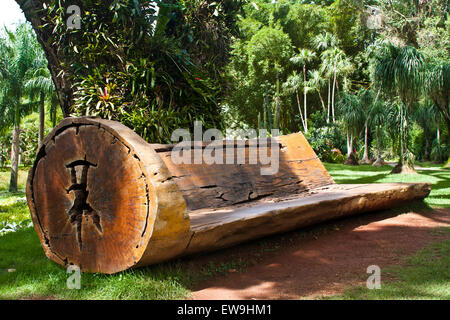 Inhotim, arte contemporanea, giardini botanici, Brumhadinho, Minas Gerais, Brasile, panca dal registro di grandi dimensioni, Foto Stock