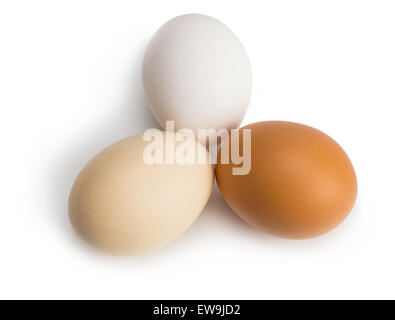 Le uova organiche di colori diversi isolati su sfondo bianco Foto Stock