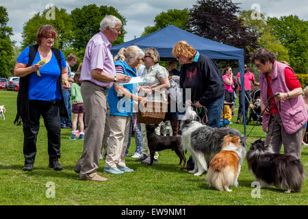 Dog Show, Maresfield Village Fete, Maresfield, Sussex, Regno Unito Foto Stock