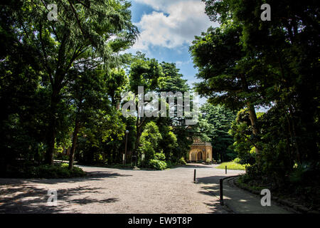 Komaba park,Meguro-Ku,Tokyo Giappone Foto Stock