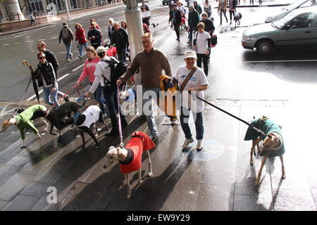 Sydney, Australia. Il 21 giugno 2015. I proprietari di Greyhound e sostenitori abbiamo camminato dalla Biblioteca di Stato intorno a Hyde Park per promuovere l'adozione Greyhound e aumentare la consapevolezza della situazione delle corse di levrieri in Australia. Credito: Richard Milnes/Alamy Live News Foto Stock